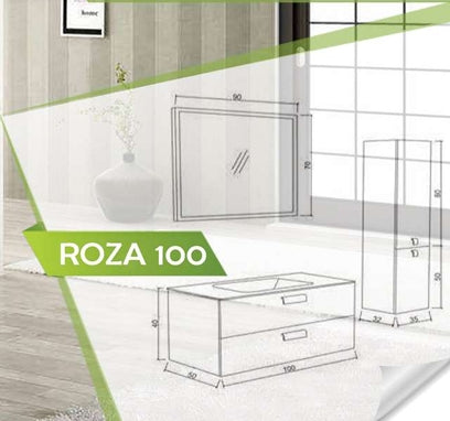 DS ROSA 100 BANYO DOLABI