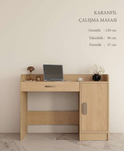 CSTR KARANFİL ÇALIŞMA MASASI