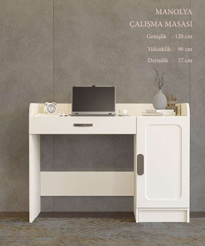 CSTR MANOLYA ÇALIŞMA MASASI