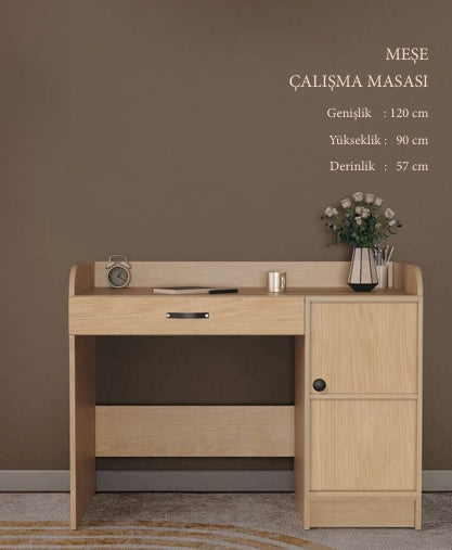 CSTR MEŞE ÇALIŞMA MASASI