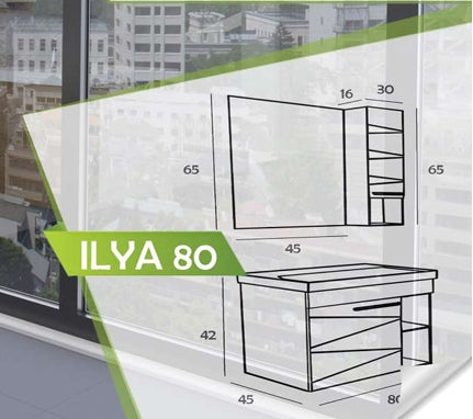 DS ILYA BANYO DOLABI
