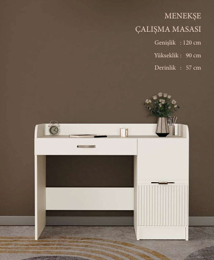 CSTR MENEKŞE ÇALIŞMA MASASI