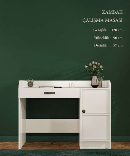 CSTR ZAMBAK ÇALIŞMA MASASI